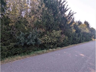 8xx 97th Street St, Amery, WI 54001 - photo 5