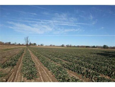 Land/Lot