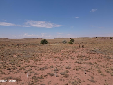 9312 Woodruff Hay Hollow Rd, Snowflake, AZ 85937 - photo 7