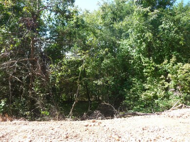 Tbd Kimberling Hills, Kimberling City, MO 65686 - photo 4