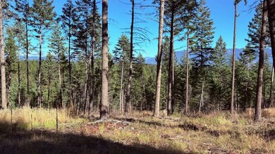 Nhn Soaring Eagle Dr, Whitefish, MT 59937 - photo 3