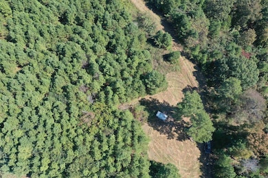 0000 Armstrong Rd, Pangburn, AR 72121 - photo 6