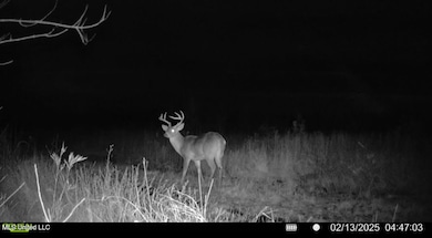 2 Highway 25 Hwy, Flowood, MS 39047 - photo 5