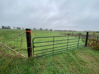 000 Farm Road 2000, Aurora, MO 65605 - photo 3