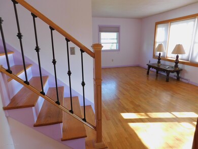 5222 Tulip Ave, Lansing, MI 48911 - photo 7