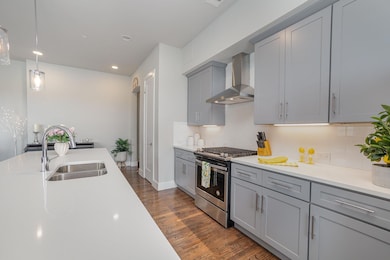 Gourmet Kitchen with Quartz counter