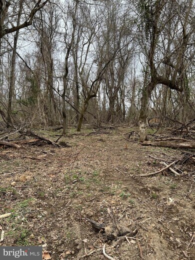 0 Briar Trail unit WVJF2002824, Harpers Ferry, WV 25425 - photo 2