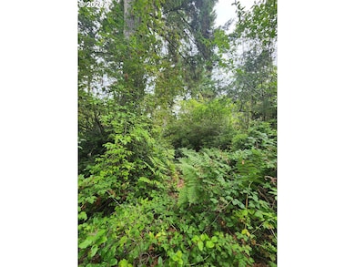 0 Sand Dune Park Dr unit TL 800 254608161, Florence, OR 97439 - photo 4