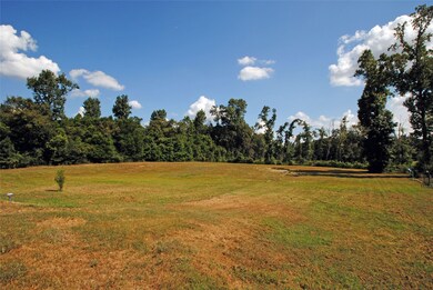 13500 Calhoun Rd, Conroe, TX 77302 - photo 4