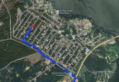 146 Martineque Ln, Point Blank, TX 77364 - photo 4