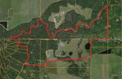 370 Acre Commercial Hunting, 2 miles on Charlie Creek