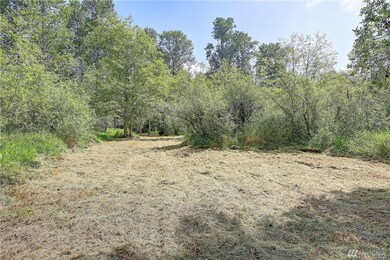 200 241st St NW, Stanwood, WA 98292 - photo 5