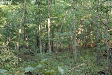 Lot 2, Block 2 Tudor Ln, Bella Vista, AR 72715 - photo 7