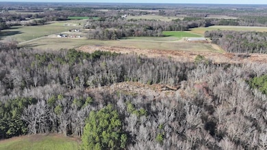 2233 Peanut Rd, Snow Hill, NC 28580 - photo 3