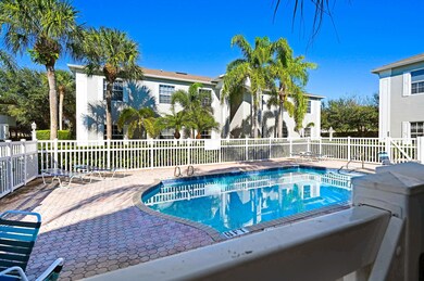 Bayvue pool & palms