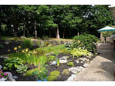 Yard/Garden.