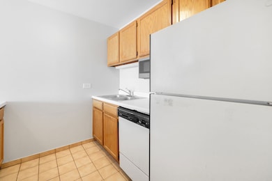 Kirchoff Meadows unit 306, Rolling Meadows, IL 60008 - photo 6