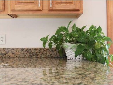 17 Courtland St, Milford, MA 01757 - photo 5