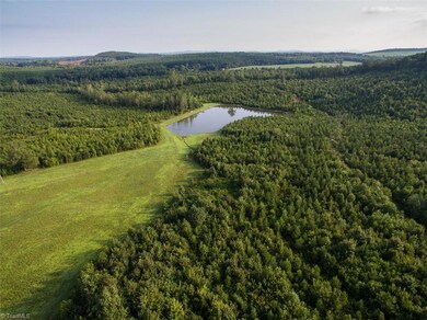 1365 S Chapel Hill Church Rd, Denton, NC 27239 - photo 3