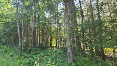 2 Lots Timber Lodge Rd, Rhinelander, WI 54501 - photo 3