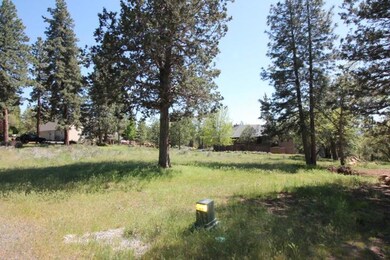 Lot 239 Kestrel Rd, Klamath Falls, OR 97601 - photo 4