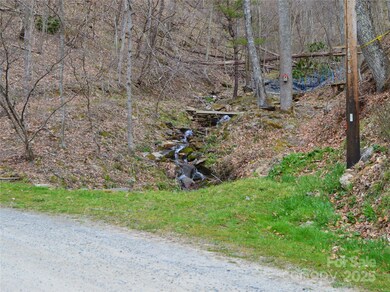 00 Hurricane Ridge Trace unit 53, Clyde, NC 28721 - photo 7