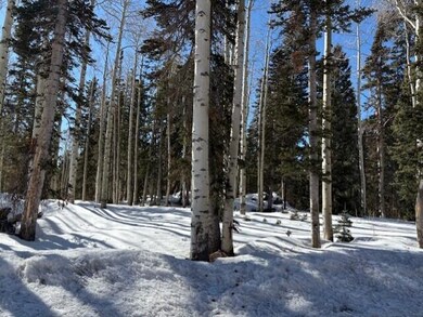 thumbnail_IMG_8599