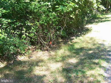 LOT 2 Cat Boat Aly, Seaford, DE 19973 - photo 2