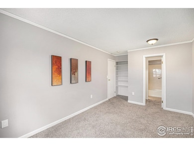 Walk-in-closet as well as additional closet space in the bedroom