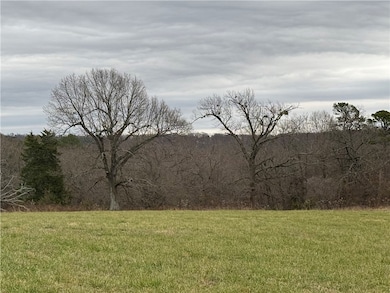Tract B-1 Nicewarner Rd, Lincoln, AR 72744 - photo 7
