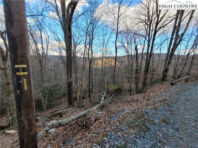 Telephone pole is on the left side of the property