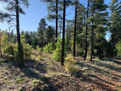 20200516013141850416000000-o