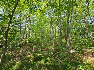 ON Marie Ln, Minocqua, WI 54548 - photo 4