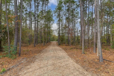 367 Kaigler Rd, North, SC 29112 - photo 3