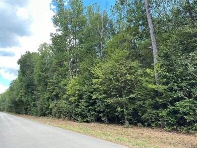 9615 Faulkner Rd, Cleveland, TX 77328 - photo 3