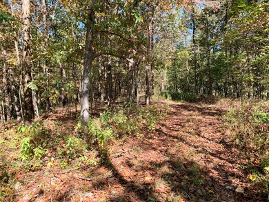 0 Bethel Rd, Prospect, TN 38477 - photo 6