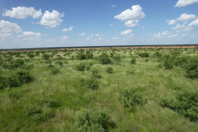 Tract 11 TBD Cr 483, Hawley, TX 79525 - photo 7