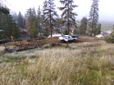 XXX Don St, Fort Jones, CA 96032 - photo 5