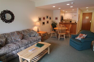 48 Cooper Memorial Dr unit 105, Lincoln, NH 03251 - photo 7