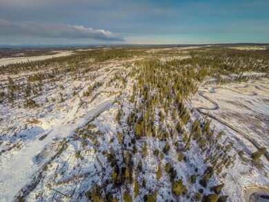 30434 Right Bank, Anchor Point, AK 99556 - photo 5