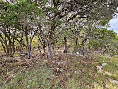 1212 Spring Rd, Pipe Creek, TX 78063 - photo 5