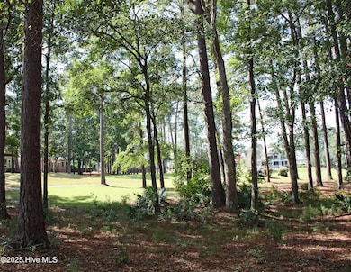 513 Cliffside Point SW, Ocean Isle Beach, NC 28469 - photo 3