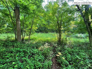 Clear in the front of the property and wooded on t