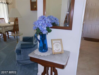 12603 Greenmount Ct, Beltsville, MD 20705 - photo 6