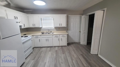 14-A Live Oak Loop NE, Ludowici, GA 31316 - photo 2