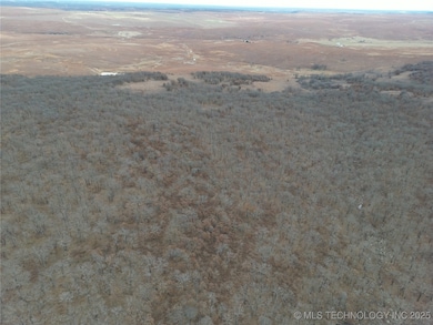 0005 County Road 2145, Bartlesville, OK 74003 - photo 6