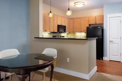 60 Winooski Falls Way unit 1215, Winooski, VT 05404 - photo 6