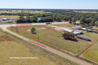 TBD W US Highway 175, Eustace, TX 75124 - photo 3