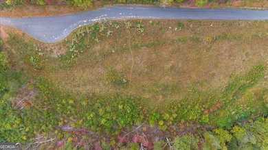 0 Horizon Ridge, Blue Ridge, GA 30513 - photo 5