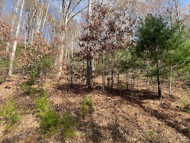 Lot 19 The Highlands, Hiawassee, GA 30546 - photo 7